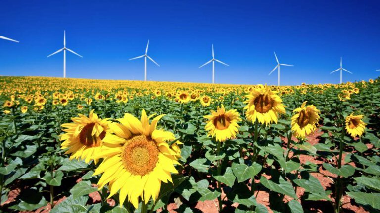 Keine Angst vor der Dunkelflaute: Sichere Energieversorgung mit Erneuerbaren Energien