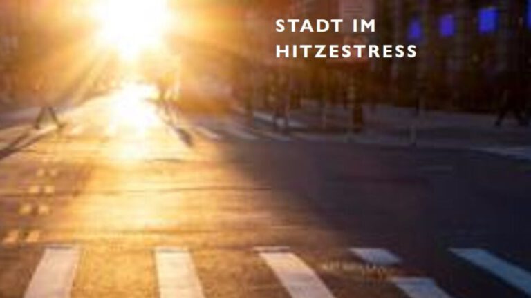 Der heiße Sommer – So schützt du dich und andere vor der großen Hitze
