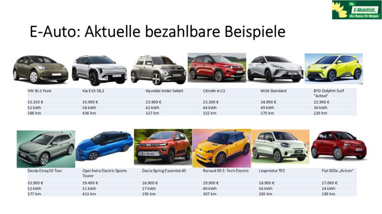 Wertvolle Informationen zur E-Mobilität